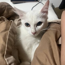 ค่าขนม น้อง ประสิทธิโชค
