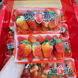 มิสไนซ์ ผลไม้