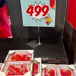 Lopia Japan Central Chaengwattana