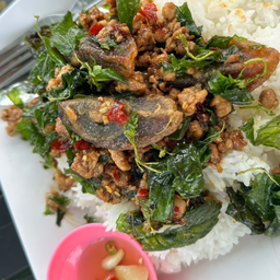 กะเพรากรอบไข่เยี่ยวม้าราดข้าว