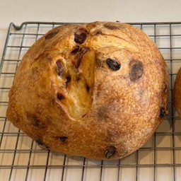 Half Loaf of Cheese  Sourdough