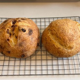 Full loaf Sourdough Cranberry