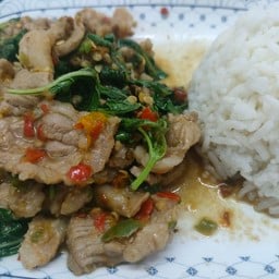 ข้าวกระเพราเนื้อวัว