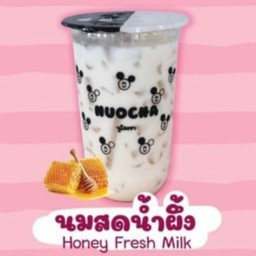 นูโอชา CAFE