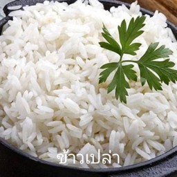 ข้าวเปล่า