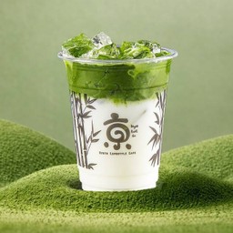 Iced Matcha Latte