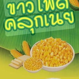 กาญจนาข้าวมันไก่(ข้าวกะเพรา) ซีเจ มอร์ สุวินทวงศ์ 42