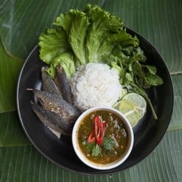 อยากกินปลาทู ทูเดย์