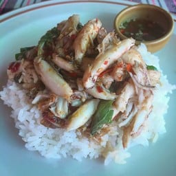 ข้าวกะเพราปู