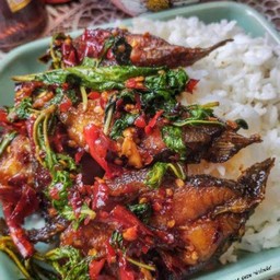 ผัดกระเพราปลาดุกราดข้าว