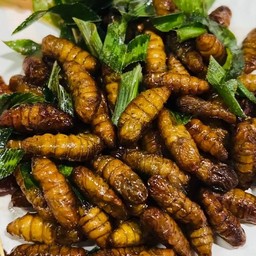 ดักแด้ทอด