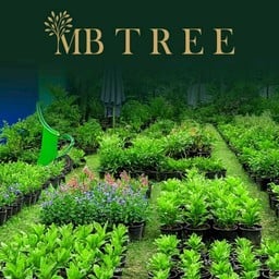 ร้านสั่งเลยตามอำเภอใจ