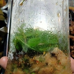 นายฮ้อยหมูพวง