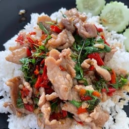 ข้าวกระเพรา ตามสั่ง Mo-Tin