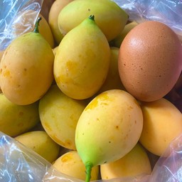 มะปรางหวาน สวนนนทบุรี ปลอดสารเคมี (สวนผมเองครับ)