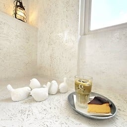 Walden Woods Walden Woods