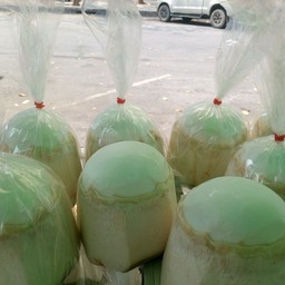 มะพร้าวถอดเสื้อ