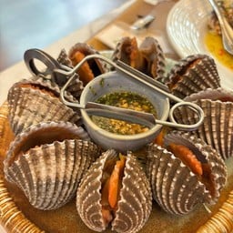 หอยแครง