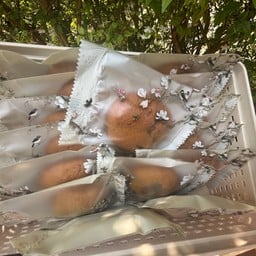 บ้านขนมหวาน Sweet Cookies and Candy