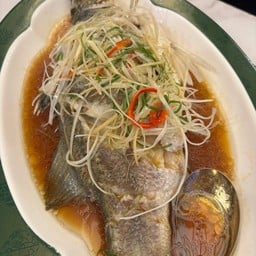 ปลากระพงนึ่งซีอิ๋ว