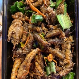 อิ่มจุกบะหมี่เกี๋ยว สาขาหนองค้อ ศรีราชา สาขาหนองค้อ