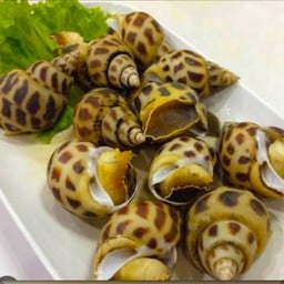 หอยหวานแท้100% ครึ่งโลตัวใญ่100% authentic sweet clams