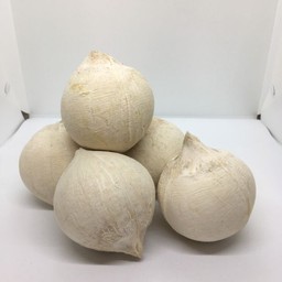 มะพร้าวต้ม