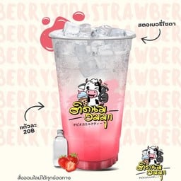 ติดนมอมมุก ต้นเชือก-ไทรน้อย 1763 1763