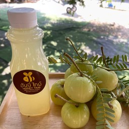 มะขามป้อมคั้นสด วิตามินซีธรรมชาติ