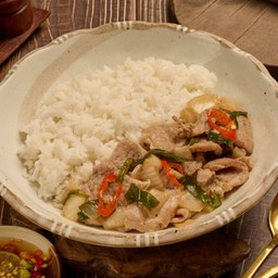 หมูผัดน้ำมันหอยพันธุ์แท้