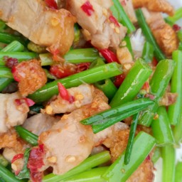 ผัดน้ำมันหอย