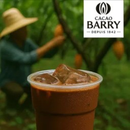 Dark Cacao Barry 1842