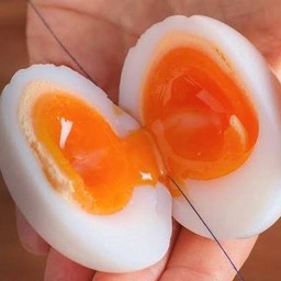 ไข่ยางมะตูม