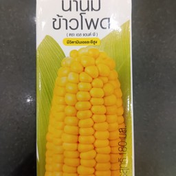 น้ำนมข้าวโพด