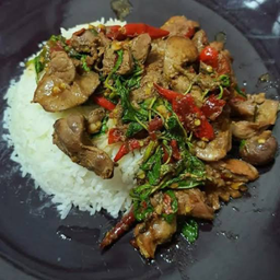 ⭐️เรืองทอง อาหารตามสั่ง👍 ก๋วยเตี๋ยว เครื่องดื่ม เพชรบูรณ์