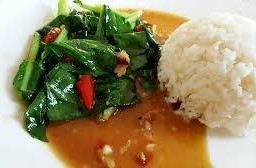 ข้าวราดคะน้าน้ำมันหอย