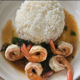 กระพรากุ้งราดข้าว