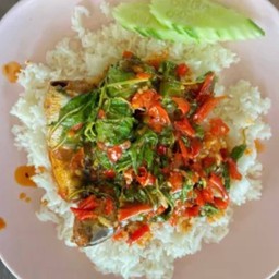 กะเพราปลากระป๋อง