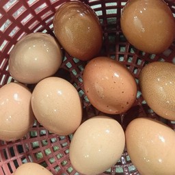 ร้านขนมจีนน้องออนเซน ลาดพร้าว101