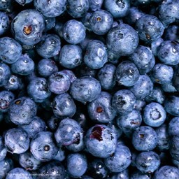Blueberry