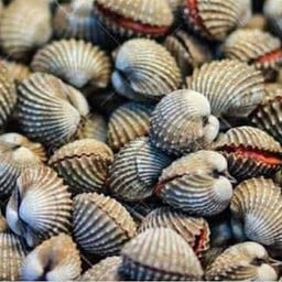 โครตครก ส้มตำ เฮียกาย ตลาดฟ้าใส