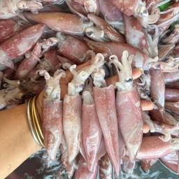 หมึกสดป่นใข่