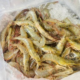 กุ้งขาวสดๆ
