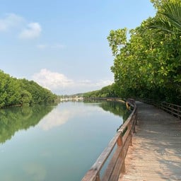 โครงการป่าในเมืองจังหวัดระยอง