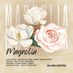MAGNOLIA
