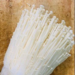 เห็ดเข็มทอง