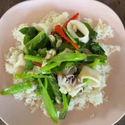 คะน้าทะเล