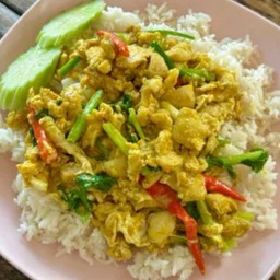 ผงกะหรี่ไก่