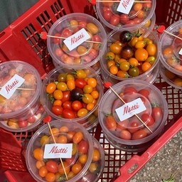 มะเขือเทศกล่องเล็ก 3 กล่อง