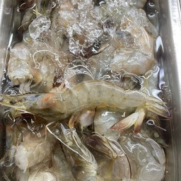 กุ้งสด